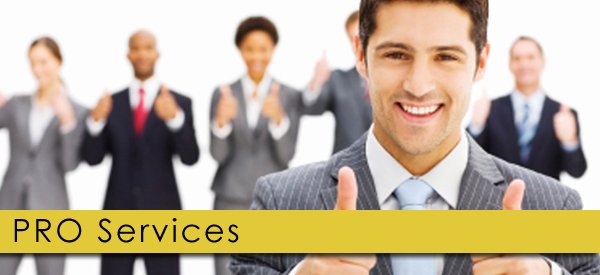 pro services in Dubai